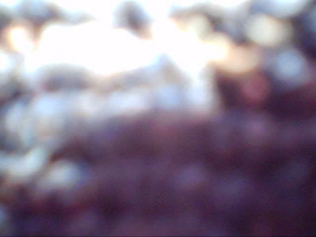 IMG 00011 (16)